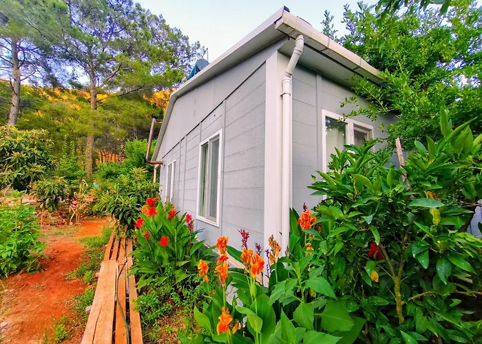 Gelidonia Holiday Home On The Lycian Way