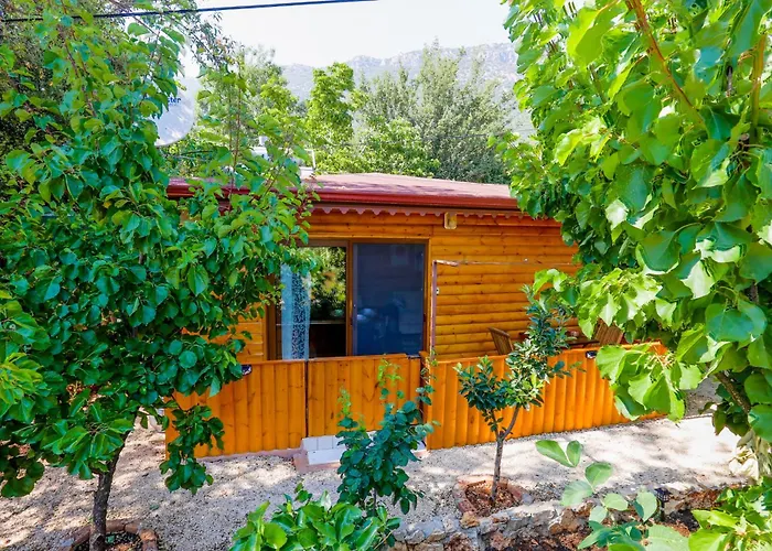 Garden Bungalow